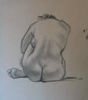 Life Drawing Sketches - Form And Substance - Charcoal