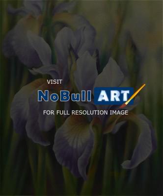 Floral - Siberian Iris - Pastel
