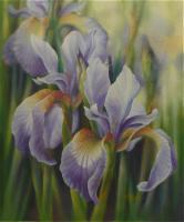 Siberian Iris - Pastel Paintings - By Pat Graham, Realism Painting Artist