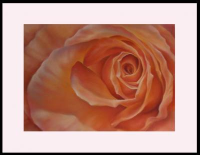 Floral - Peach Passion - Conte Crayon