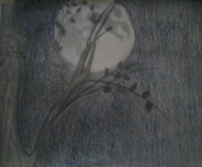 Free Time Drawings - Just A Tree - Pencil  Paper