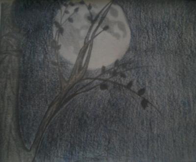 Free Time Drawings - Just A Tree - Pencil  Paper