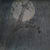 Just A Tree - Pencil  Paper Drawings - By Alexander Suarez, Realism Drawing Artist