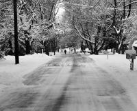 Snow Day - Digital Photography - By Steve Bradney, Black And White Photography Artist