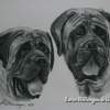 Porter And Moses - Charcoal Drawings - By Karen Stillwagon, Realism Drawing Artist