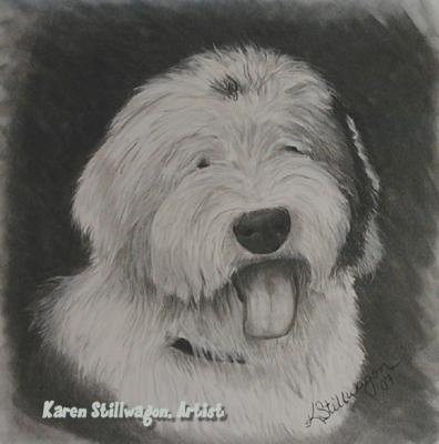 Charcoal Drawings - Lola - Charcoal