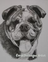 Frank - Charcoal Drawings - By Karen Stillwagon, Realism Drawing Artist