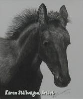 Friesan Colt - Charcoal Drawings - By Karen Stillwagon, Realism Drawing Artist