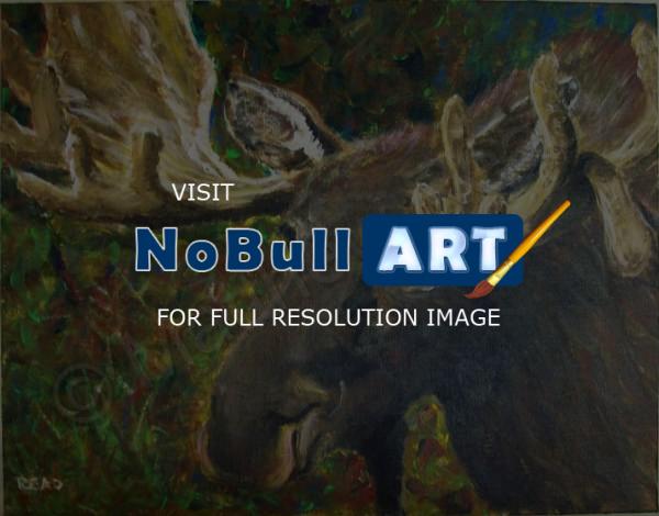 Wildlife - Moose Study - Acrylic