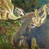 Moose Study - Acrylic Paintings - By Matthew Read, Loose Traditional Painting Artist