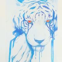 Blue Tiger - Pencil  Paper Drawings - By Steph Deskins, Traditional Drawing Artist
