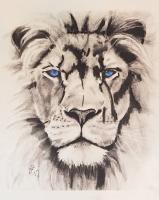 Blue Lion - Pencil  Paper Drawings - By Steph Deskins, Traditional Drawing Artist