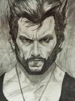 Wolverine - Pencil  Paper Drawings - By Steph Deskins, Traditional Drawing Artist