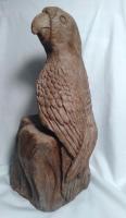 2 - Parrot Looking - Clay