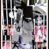 Open Your Mind Read - Paper Cutting Other - By Tone Alex, Handmade Other Artist