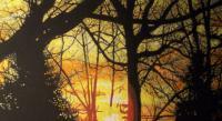 Landscape - Backyard Sunrise - Watercolor