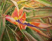 Bird Of Paradise - Watercolor Paintings - By Wayne Vander Jagt, Botanical Impressionistic Painting Artist