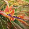 Bird Of Paradise - Watercolor Paintings - By Wayne Vander Jagt, Botanical Impressionistic Painting Artist