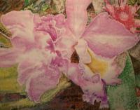 Orchid - Watercolor Paintings - By Wayne Vander Jagt, Impressionistic Painting Artist