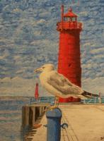 Seascape - Seagull Muskegon Michigan - Watercolor
