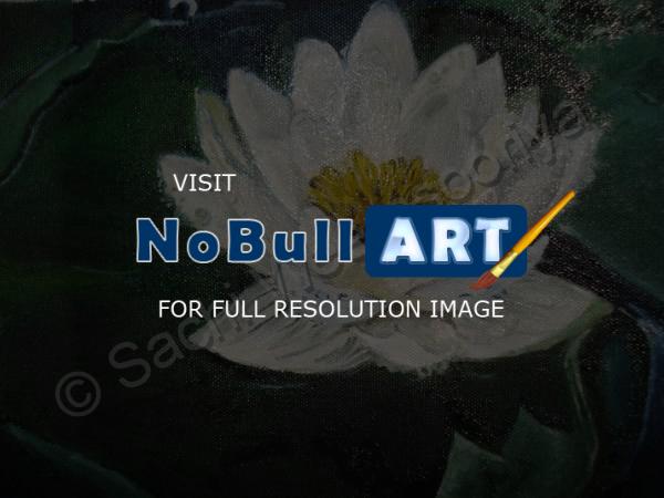 Nature - Lotus - Oil Paint On Canvas
