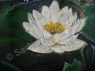 Nature - Lotus - Oil Paint On Canvas