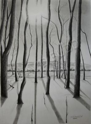 1 - Edge Of The Forest - Graphite Pencil