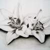 White Lillies - Graphite Pencil Drawings - By David Budd, Realism Drawing Artist