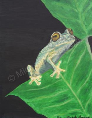 Frogs - Prince In Waiting - Acrylic On Canvas