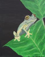 Frogs - Prince In Waiting - Acrylic On Canvas