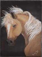 Horse - Acrylic Paintings - By Veronica Regan, Realism Painting Artist