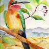 Bee Eater Bird - Water Colour Paintings - By Marguerite De La Harpe, Free Original Style Painting Artist