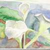 Lilies Of The Valley - Water Colour Paintings - By Marguerite De La Harpe, Free Original Style Painting Artist