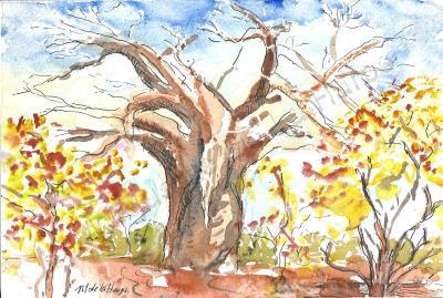 Arboreal Landscape - Baobab Tree Of Africa - Water Colour