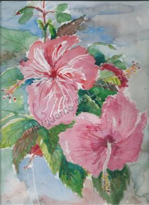 Floral Watercolour - Hibiscus Blooming - Water Colour