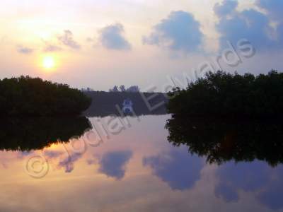 Photography - Haunted Houseboat - Photography