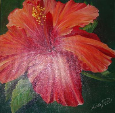 Acrylics - Hibiscus - Acrylic
