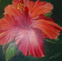 Hibiscus - Acrylic Paintings - By Aimee Liukko, Realistic Painting Artist