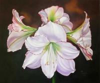Radiant Amaryllies - Oil On Canvas Paintings - By Teresa Ramsey, Realism Painting Artist