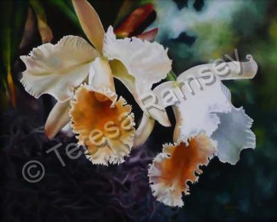 Floral - Orchids Of Love - Oil On Canvas