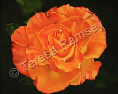 Floral - Deep Orange Rose - Oil On Canvas