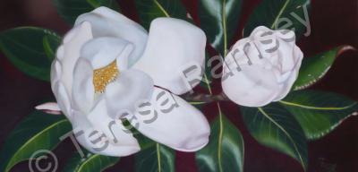 Floral - Duo Magnolia - Oil On Canvas