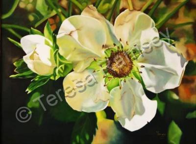 Floral - Strawberry Blossom - Oil On Canvas