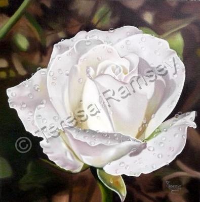 Floral - Morning Dew - Oil On Canvas