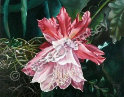 Floral - Single Bloom Orchid - Oil On Canvas