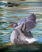 Pleasant Flight - Oil On Canvas Paintings - By Teresa Ramsey, Realism Painting Artist