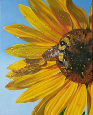 Floral - Sweet Sweet Honey - Oil On Canvas