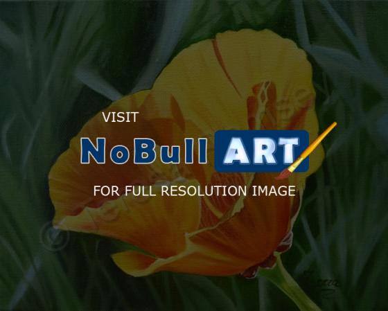 Floral - Golden Poppy - Oil On Canvas