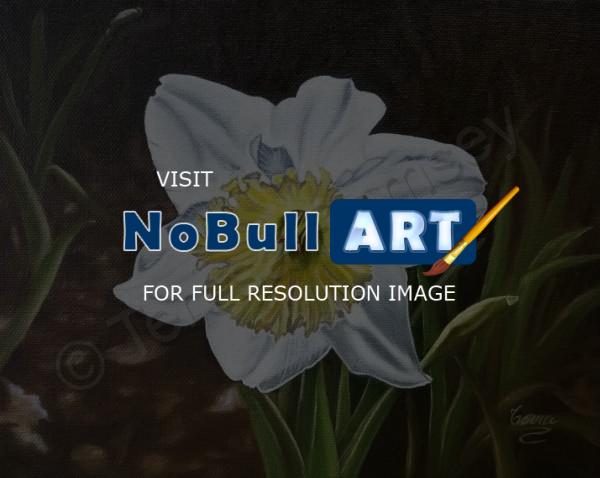 Floral - White Daffodil With Yellow Center - Oil On Canvas