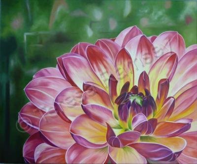 Floral - Rainbow Dahlia - Oil On Canvas